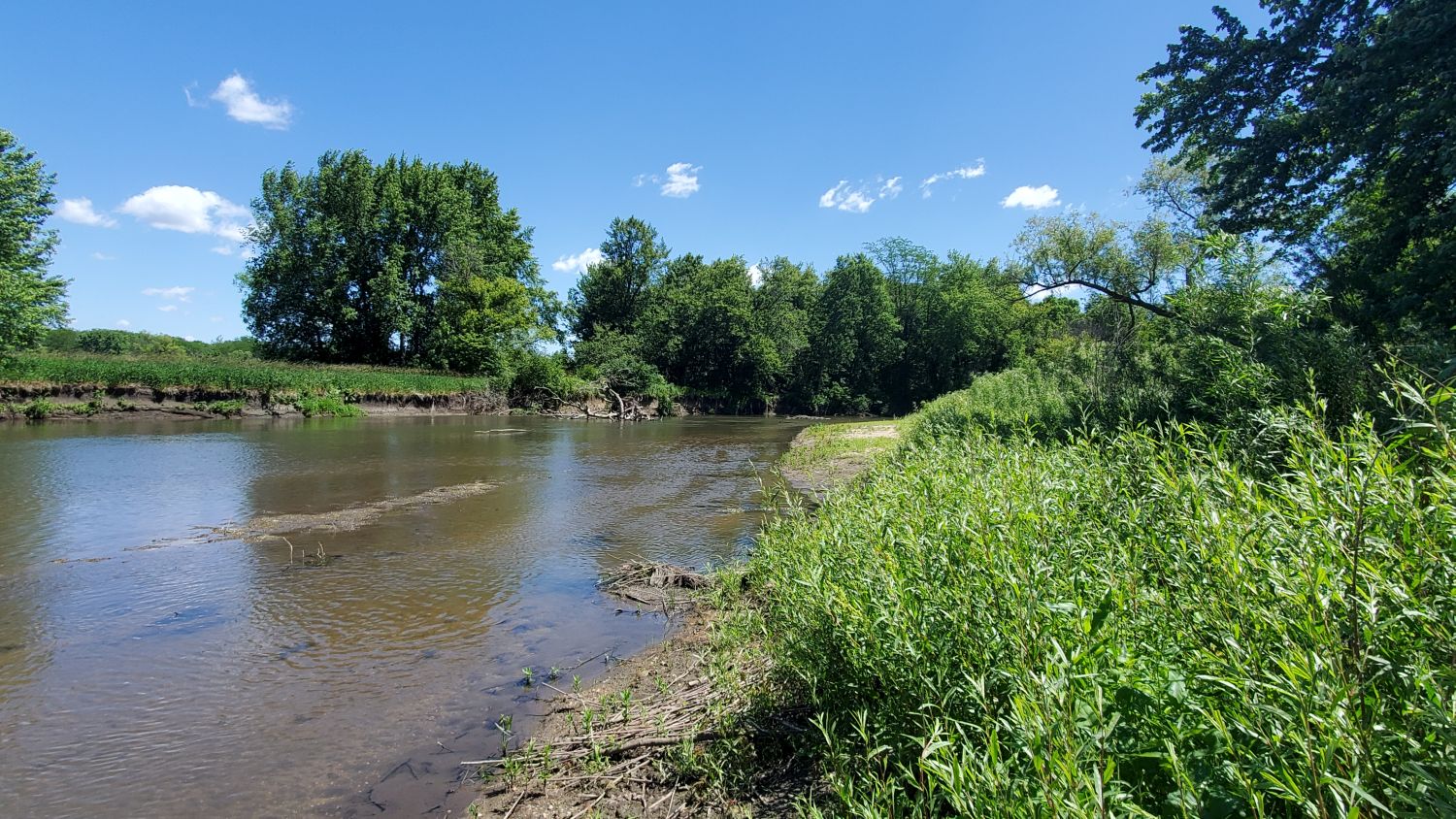 Oak Ridge Forest Preserve 